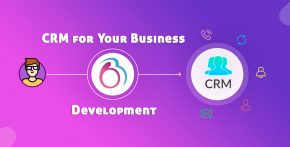 crm for your business development