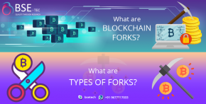 What are Blockchain Forks? What are the types of forks?