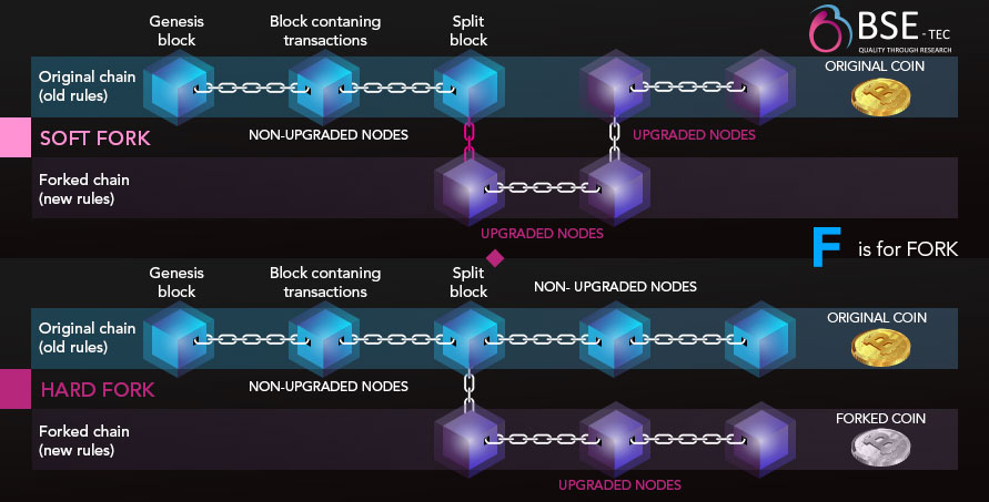 types of forks