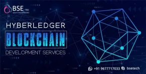 hyberledger blockchain development services