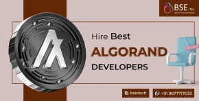 Best Algorand Developers