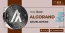 Best Algorand Developers