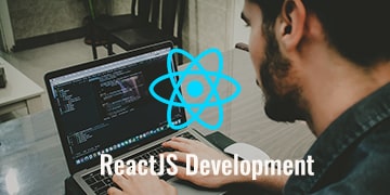 ReactJS Development