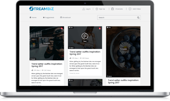 StreamBiz